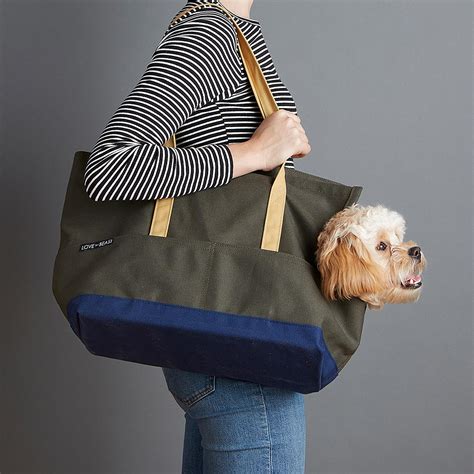 lv dog backpack|designer totes to carry dog.